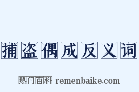 捕盗偶成反义词是什么意思的图片